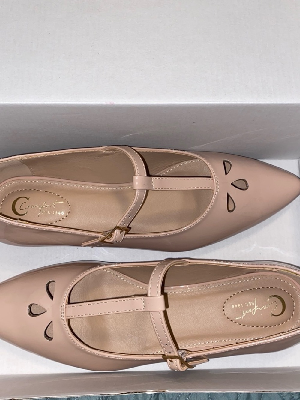 comfort plus by Predictions Nude Pink Pointed Mary Jane Flats